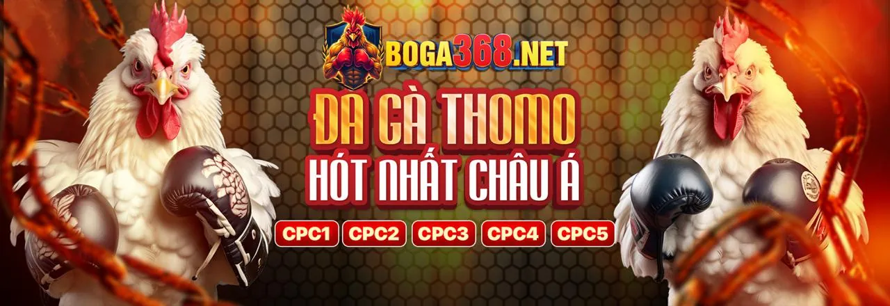 Sân vận động bóng đá với giao diện cá cược b52 game bài